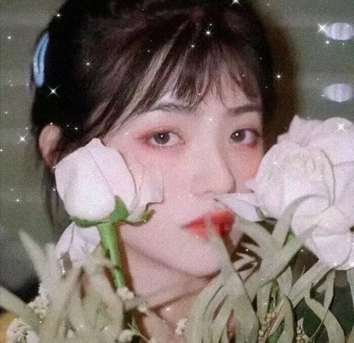 珍与艾玛